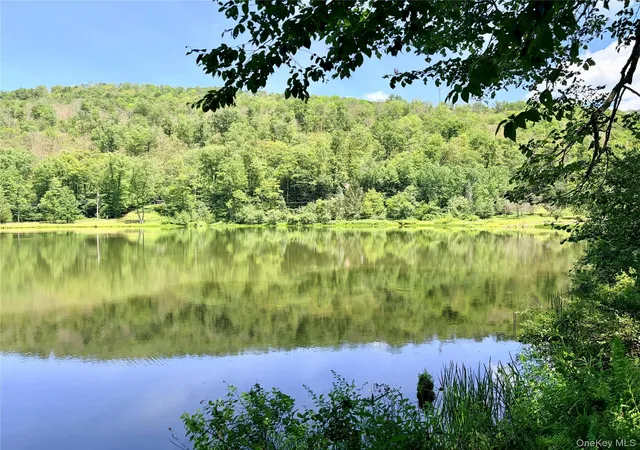 Homes for sale in Hancock, NY | Doyle Rd, Hancock, NY 12776 | MLS# 1024279
