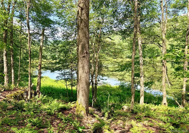Homes for sale in Hancock, NY | Doyle Rd, Hancock, NY 12776 | MLS# 1024279