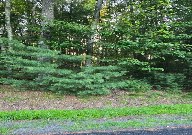 Homes for sale in Bethel, NY | Horseshoe Lake Rd, Bethel, NY 12764 | MLS# 1024333
