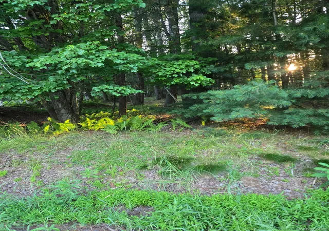 Homes for sale in Bethel, NY | Horseshoe Lake Rd, Bethel, NY 12764 | MLS# 1024333