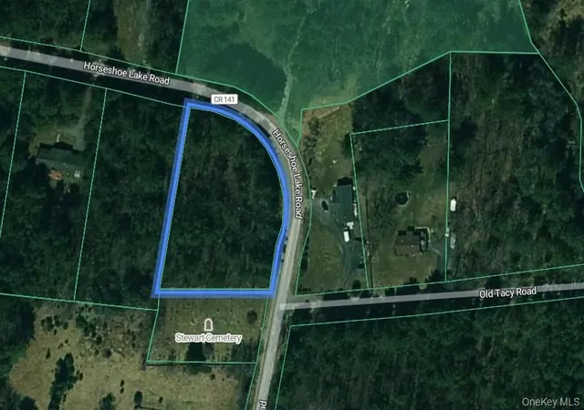 Homes for sale in Bethel, NY | Horseshoe Lake Rd, Bethel, NY 12764 | MLS# 1024333