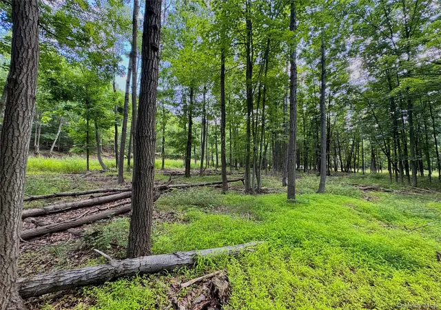 Homes for sale in Cairo, NY | 334 Pollys Rock Rd, Cairo, NY 12473 | MLS# 1024406
