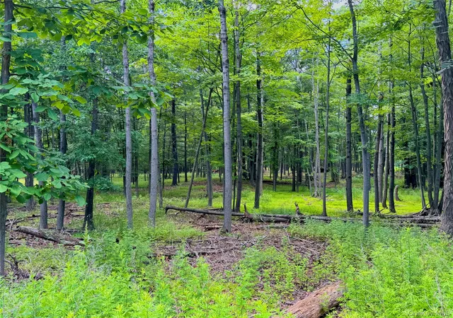 Homes for sale in Cairo, NY | 334 Pollys Rock Rd, Cairo, NY 12473 | MLS# 1024406