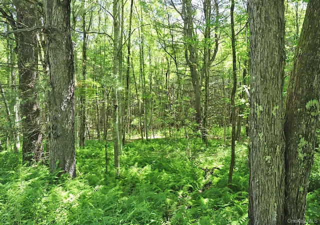 3rd image of Lot 4A Hurd Road, Bethel, NY 12720 | MLS# 1024455