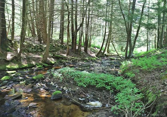 4th image of Lot 4A Hurd Road, Bethel, NY 12720 | MLS# 1024455