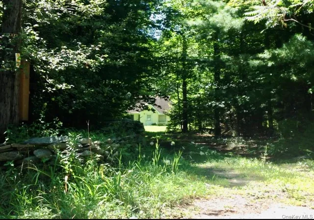 Homes for sale in Wawarsing, NY | 143 Mountaindale Rd, Wawarsing, NY 12435 | MLS# 1024515