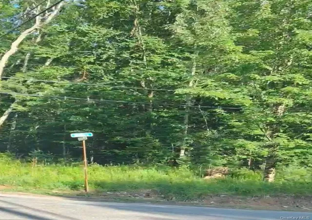 Photo 3 of Land for sale at 143 Mountain Dale Rd, Greenfield Park, NY 12435 | MLS# 1024515 | Listing updated on 2026-08-18