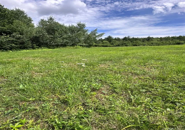 Homes for sale in Liberty, NY | 384 Lenape Lake Rd, Liberty, NY 12758 | MLS# 1024645