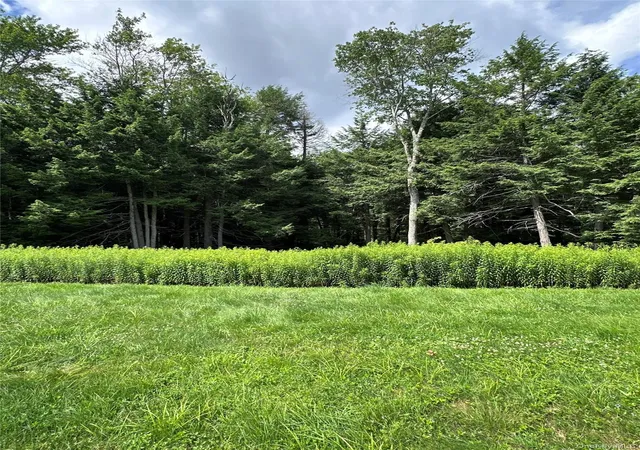Homes for sale in Liberty, NY | 384 Lenape Lake Rd, Liberty, NY 12758 | MLS# 1024645