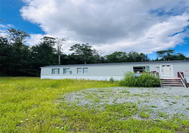 Homes for sale in Liberty, NY | 384 Lenape Lake Rd, Liberty, NY 12758 | MLS# 1024645