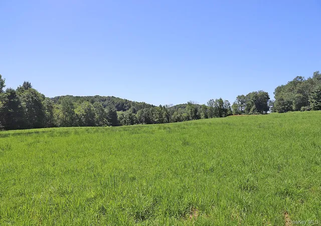 4th image of Lot 4B Hurd Road, Bethel, NY 12720 | MLS# 1024661
