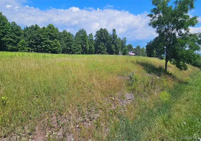 1st image of W/s Divine Corners Road, Liberty, NY 12754 | MLS# 1024843