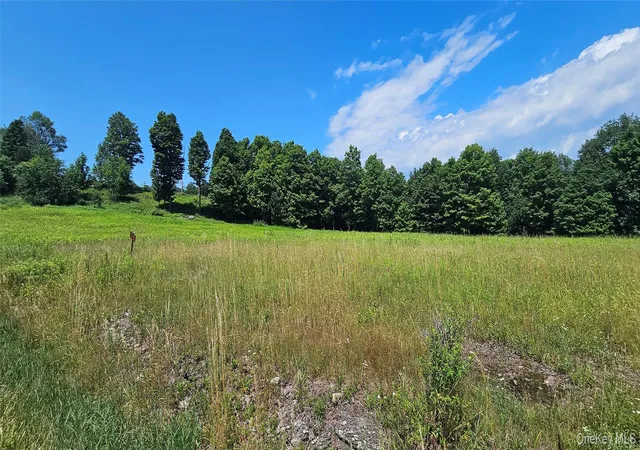 2nd image of W/s Divine Corners Road, Liberty, NY 12754 | MLS# 1024843