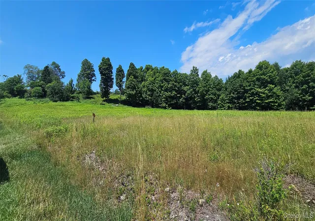 3rd image of W/S Divine Corners Road, Liberty, NY 12754 | MLS# 1024843