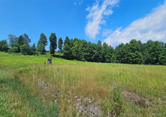 4th image of W/S Divine Corners Road, Liberty, NY 12754 | MLS# 1024843