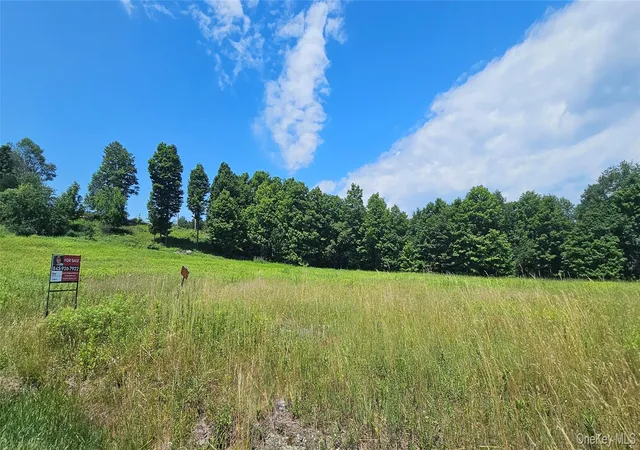 5th image of W/S Divine Corners Road, Liberty, NY 12754 | MLS# 1024843