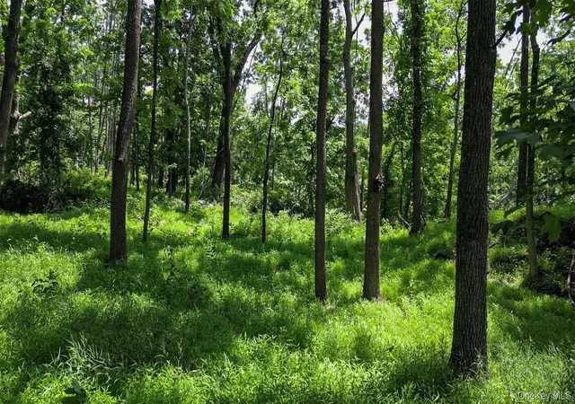 3rd image of Deer Pond Lot 2 Dr, Warwick (town), NY 10990 | MLS# 1024850