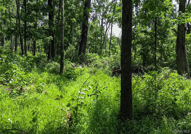 4th image of Deer Pond Lot 2 Dr, Warwick (town), NY 10990 | MLS# 1024850