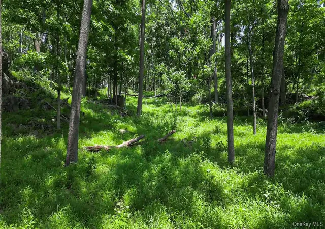 5th image of Deer Pond Lot 2 Dr, Warwick (town), NY 10990 | MLS# 1024850