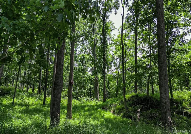 6th image of Deer Pond Lot 2 Dr, Warwick (town), NY 10990 | MLS# 1024850