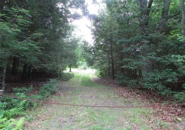 Photo 1 of Land for sale at Fox Hl Rd Tr 55, Fallsburg, NY 12733 | MLS# 1025073 | Listing updated on 2026-07-21