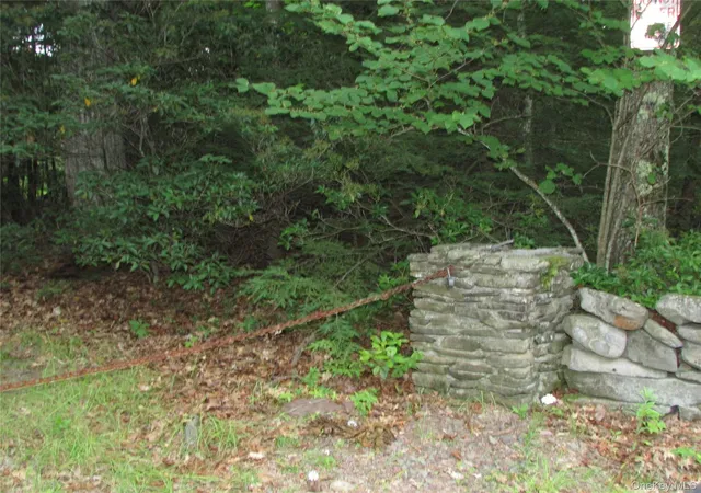Photo 2 of Land for sale at Fox Hl Rd Tr 55, Fallsburg, NY 12733 | MLS# 1025073 | Listing updated on 2026-07-21