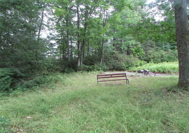 Photo 3 of Land for sale at Fox Hl Rd Tr 55, Fallsburg, NY 12733 | MLS# 1025073 | Listing updated on 2026-07-21