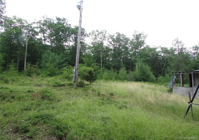 Photo 4 of Land for sale at Fox Hl Rd Tr 55, Fallsburg, NY 12733 | MLS# 1025073 | Listing updated on 2026-07-21