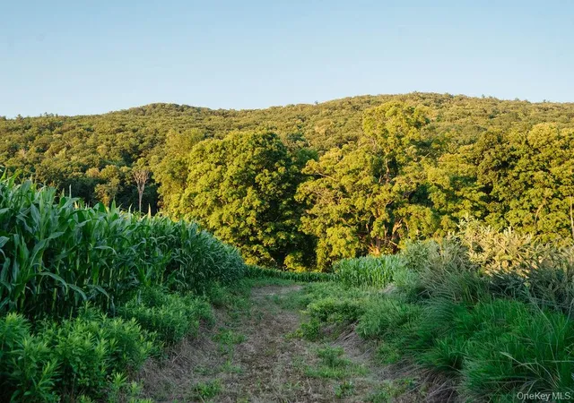 Photo 3 of Land for sale at 1275 Boston Corners Rd, Millerton, NY 12546 | MLS# 1025339 | Listing updated on 2026-07-22