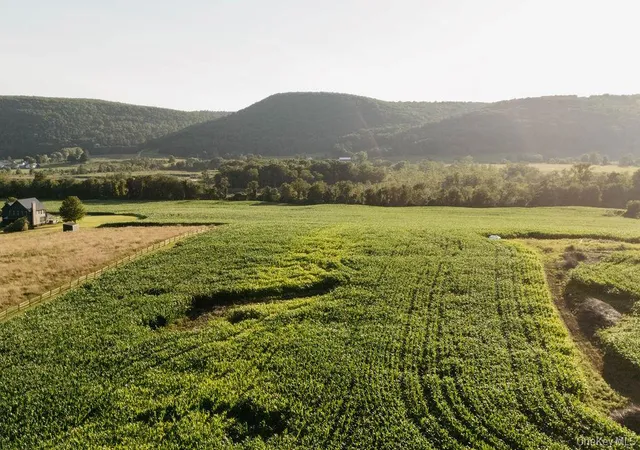 Photo 3 of Land for sale at 1275 Boston Corners Rd, Millerton, NY 12546 | MLS# 1025339 | Listing updated on 2026-07-22
