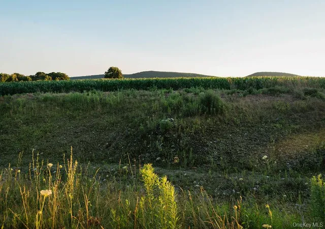 Photo 4 of Land for sale at 1275 Boston Corners Rd, Millerton, NY 12546 | MLS# 1025339 | Listing updated on 2026-07-22