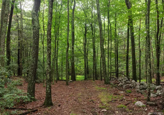 1st image of 3789 State Route 52, Pine Bush, NY 12566 | MLS# 1025346