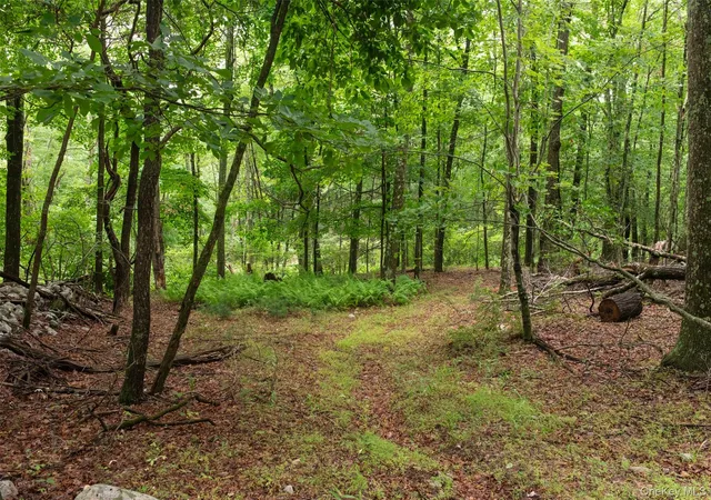 Photo 3 of Sale Pending at 3789 State Route 52, Pine Bush, NY 12566 | MLS# 1025346 | Listing updated on 2026-08-20