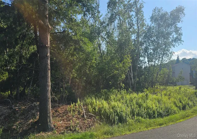 Homes for sale in Thompson, NY | Club Ln, Thompson, NY 12775 | MLS# 1025579