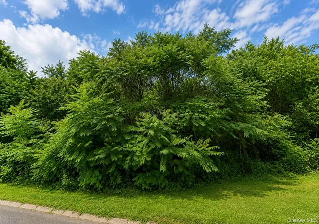 4th image of Patricia Dr, Pleasant Valley, NY 12569 | MLS# 1025644