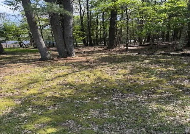 2nd image of 655 Samsonville Rd, Kerhonkson, NY 12446 | MLS# 1025692