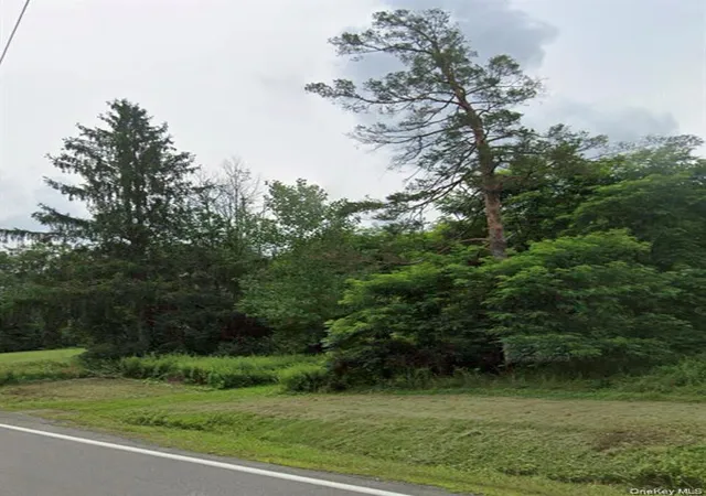 Photo 2 of Land for sale at 14951 State Route 23, Prattsville, NY 12468 | MLS# 1026405 | Listing updated on 2026-07-16