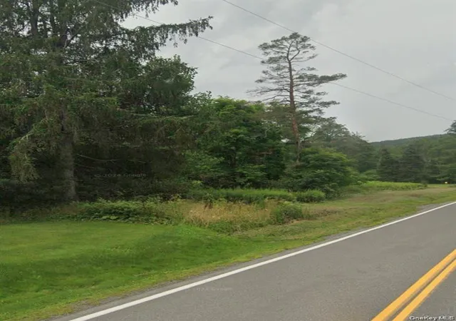 Photo 3 of Land for sale at 14951 State Route 23, Prattsville, NY 12468 | MLS# 1026405 | Listing updated on 2026-07-16