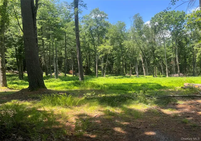 1st image of Geba Dr, Lumberland, NY 12737 | MLS# 1026541