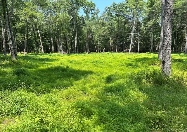 3rd image of Geba Dr, Lumberland, NY 12737 | MLS# 1026541
