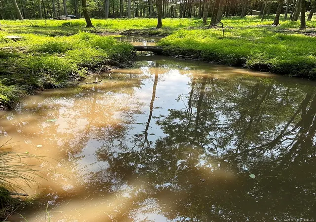 4th image of Geba Dr, Lumberland, NY 12737 | MLS# 1026541