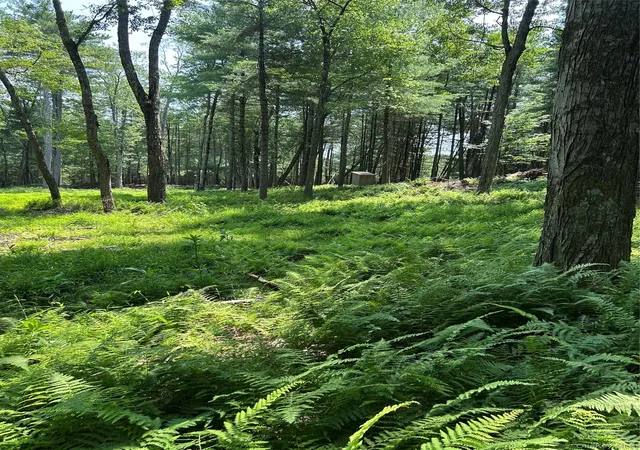 5th image of Geba Dr, Lumberland, NY 12737 | MLS# 1026541
