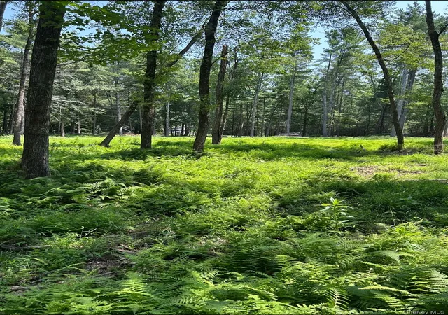 10th image of Geba Dr, Lumberland, NY 12737 | MLS# 1026541