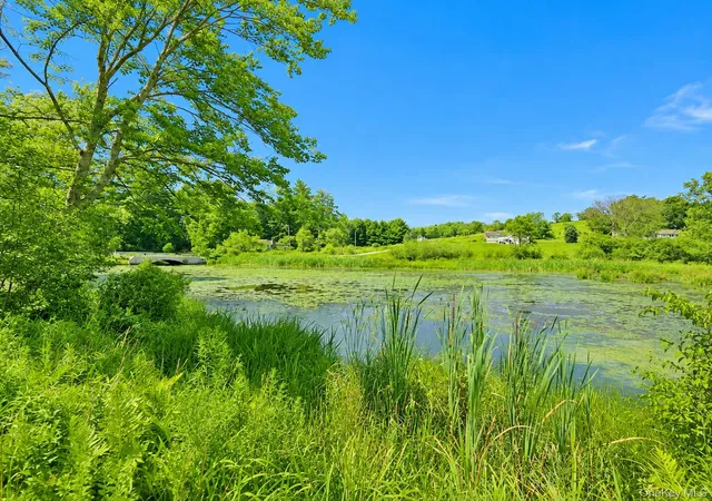 Photo 4 of Land for sale at 601 Briscoe Rd, Swan Lake, NY 12783 | MLS# 1026756 | Listing updated on 2026-08-16