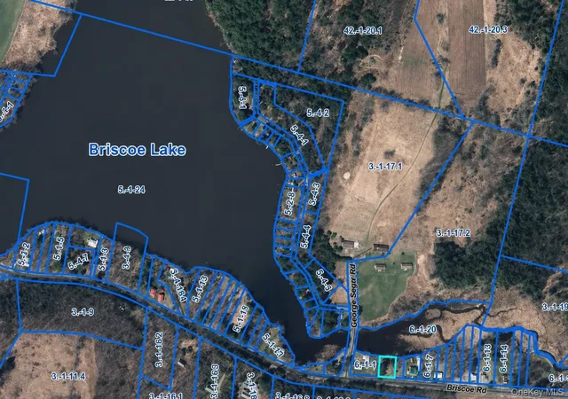 Photo 8 of Land for sale at 601 Briscoe Rd, Swan Lake, NY 12783 | MLS# 1026756 | Listing updated on 2026-08-16
