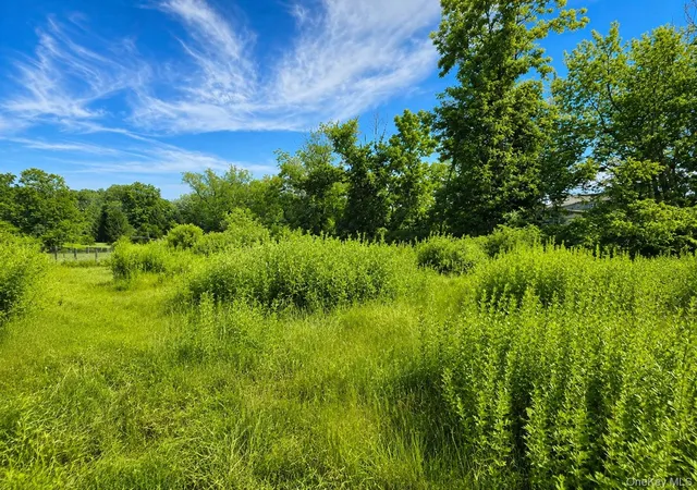 Photo 1 of Land for sale at 353 Winterton Rd, Bloomingburg, NY 12721 | MLS# 1026765 | Listing updated on 2026-07-16
