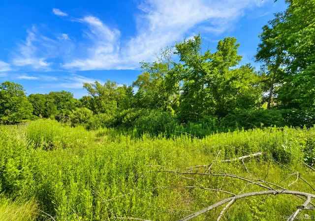 Photo 4 of Land for sale at 353 Winterton Rd, Bloomingburg, NY 12721 | MLS# 1026765 | Listing updated on 2026-07-16