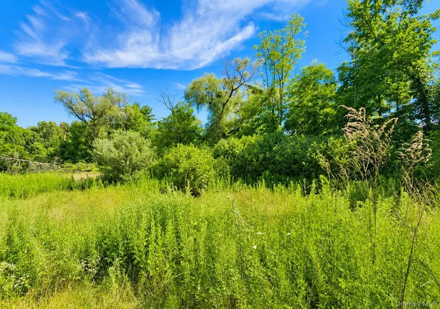Photo 5 of Land for sale at 353 Winterton Rd, Bloomingburg, NY 12721 | MLS# 1026765 | Listing updated on 2026-07-16