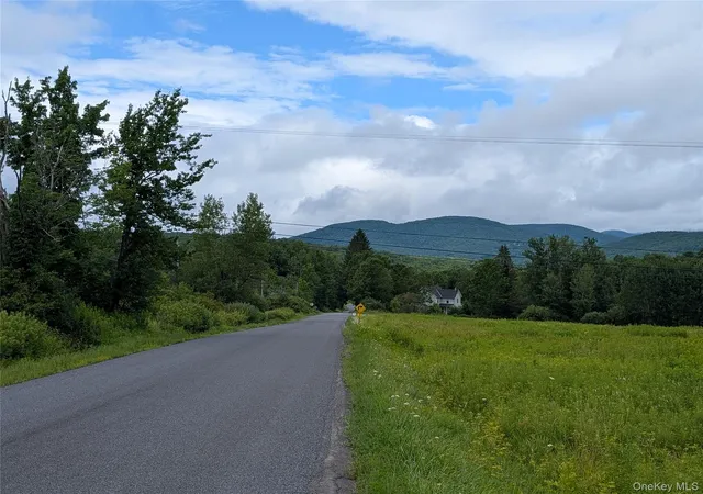 Photo 1 of Land for sale at Hubbell Hl Rd, Middletown, NY 12455 | MLS# 1027019 | Listing updated on 2026-08-17