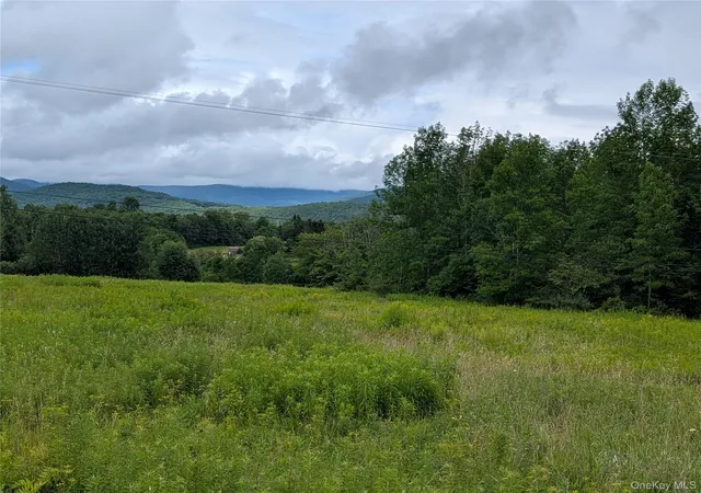 Photo 3 of Land for sale at Hubbell Hl Rd, Middletown, NY 12455 | MLS# 1027019 | Listing updated on 2026-08-17